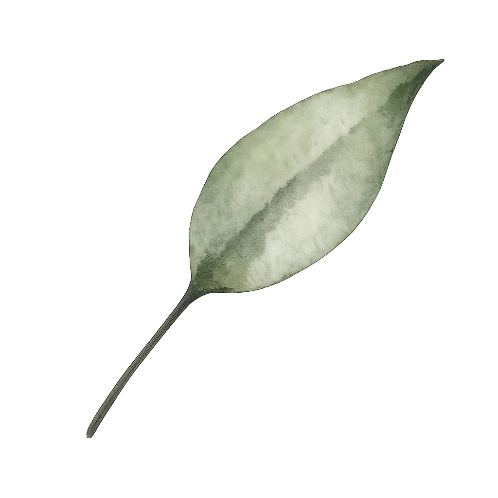 Floating Leaf